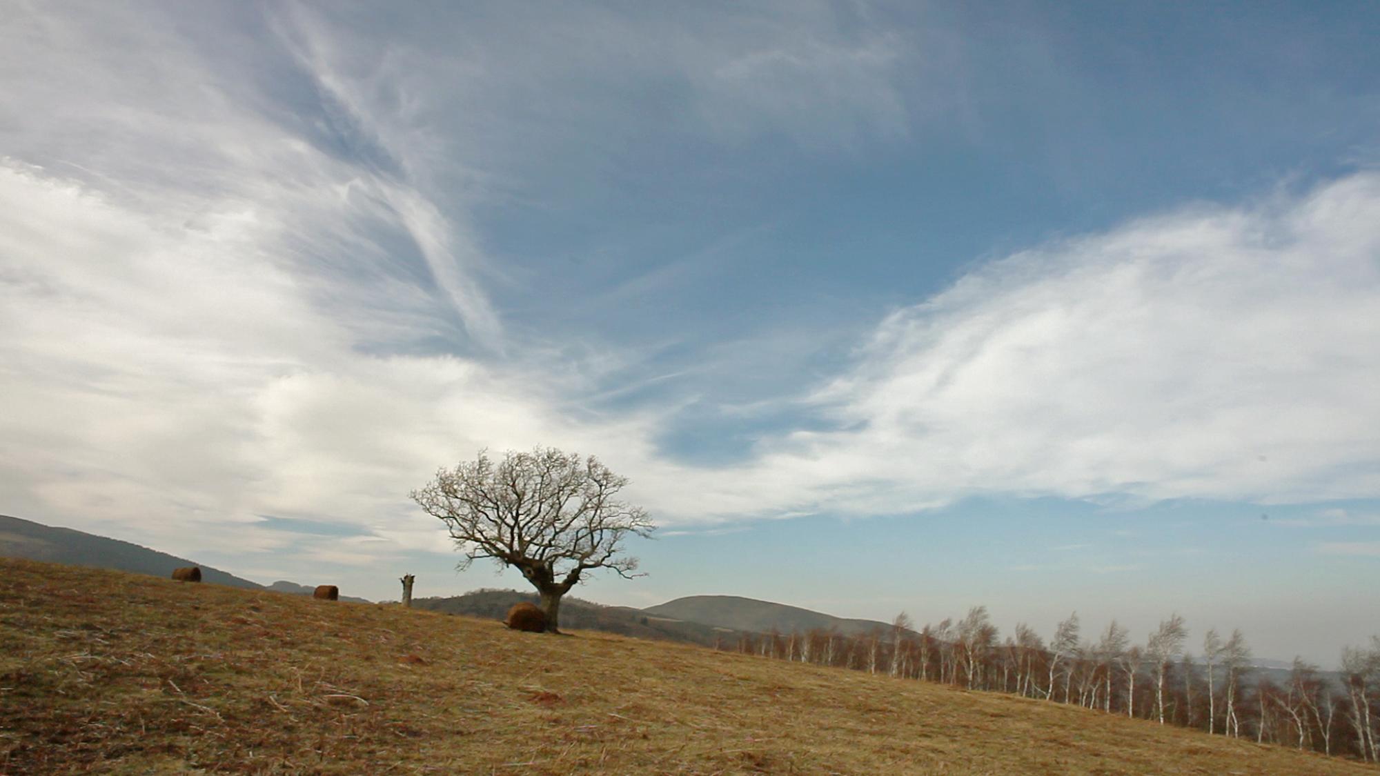 Fotograma de la película 'La casa Emak Bakia' de Oskar Alegria